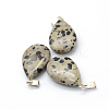 Teardrop Natural Dalmatian Jasper Pendants G-Q368-23-2