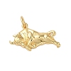 Rack Plating Brass Pendants KK-S372-07G-1