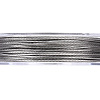 201 Stainless Steel Wire TWIR-Q003-0.38mm-01-2