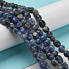 Natural Blue Spot Jasper Bead Strands G-F465-53-2