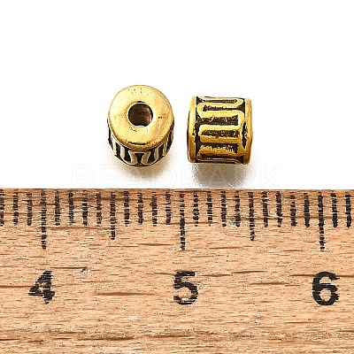 Tibetan Style Alloy Beads LS-GLF10149Y-NF-1