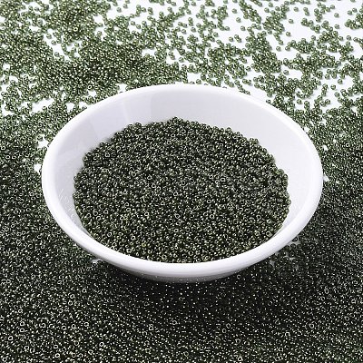 MIYUKI Round Rocailles Beads X-SEED-G007-RR0306-1