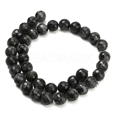 Natural Larvikite Beads Strands G-C280-B06-10mm-1