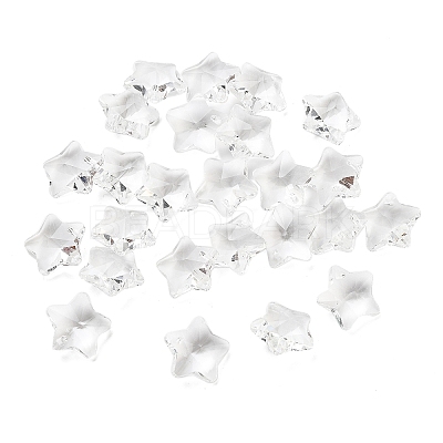 Transparent Glass Pendants X-GLAA-P037-04-16-1