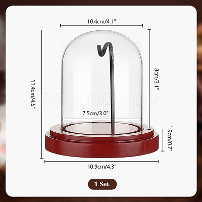 Transparent Glass Shade with Wood Base Watch Display Stand ODIS-WH0038-138-1