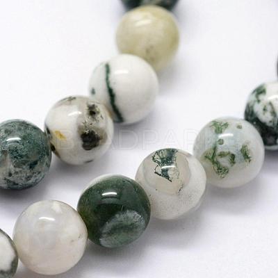 Natural Tree Agate Beads Strands G-I199-03-8mm-1