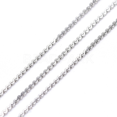 Tarnish Resistant 304 Stainless Steel Serpentine Chains CHS-F011-12A-P-1