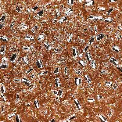 TOHO 6/0 Round Beads SEED-XTR06-0031-1