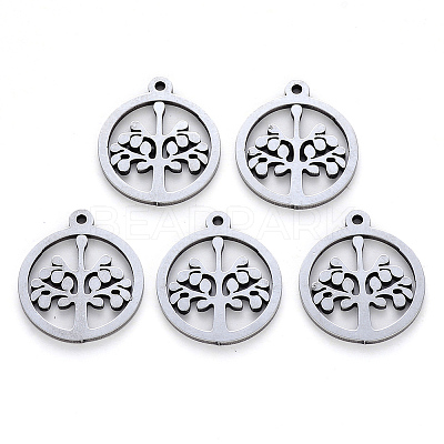 Non-Tarnish 304 Stainless Steel Pendants STAS-N092-05-1