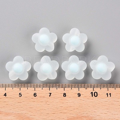 Transparent Acrylic Beads TACR-S152-09C-10-1