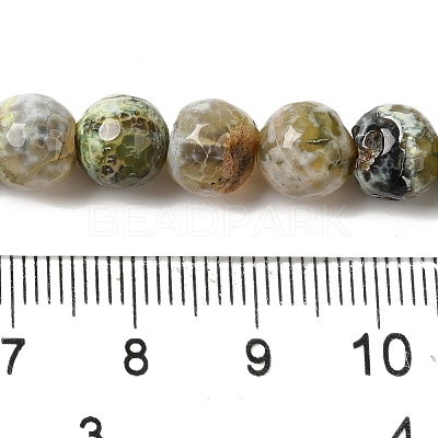 Dyed & Heated Natural Fire Crackle Agate Beads Strands G-P539-C01-03-1