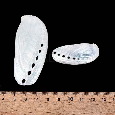 Abalone Shells Ornaments SHEL-T020-54-1