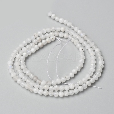 Natural Rainbow Moonstone Beads Strands G-O186-D02-01-1