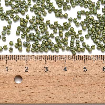 TOHO 11/0 Round Beads X-SEED-TR11-2632F-1
