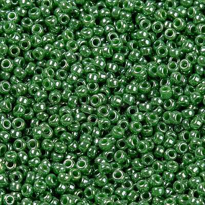 MIYUKI Round Rocailles Beads SEED-G009-RR0431-1