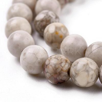 Natural Maifanite/Maifan Stone Beads Strands X-G-F353-8mm-1