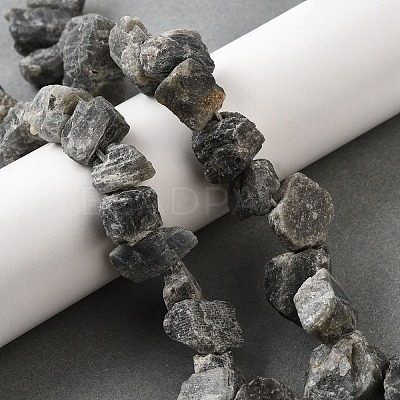 Natural Labradorite Beads Strands G-S386-B04-1