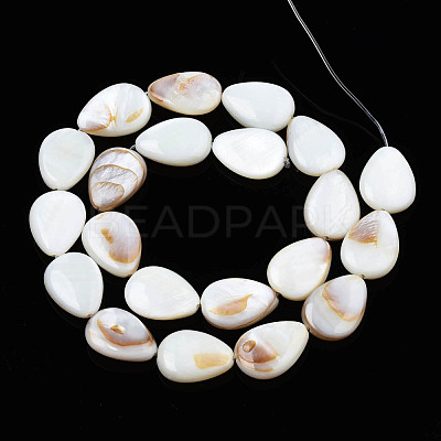 Natural White Shell Beads Strands X-PBB263Y-1-1