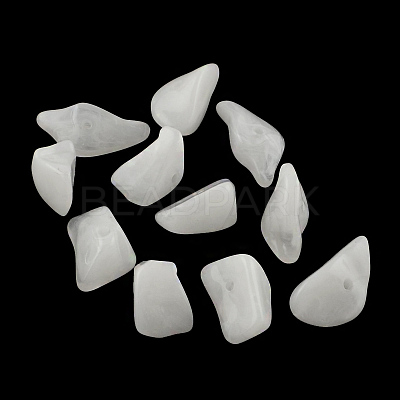 Chip Imitation Gemstone Acrylic Beads OACR-R021-24-1