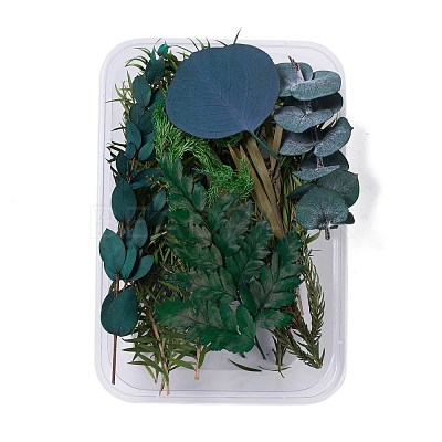 Dried Flowers DIY-D052-03-1
