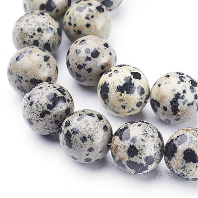 Natural Dalmatian Jasper Beads Strands GSR12mmC004-1