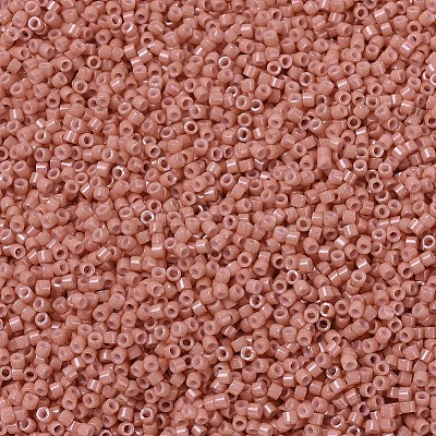 MIYUKI Delica Beads X-SEED-J020-DB1363-1