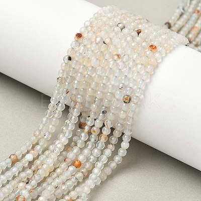 Natural Agate Beads Strands G-H302-A04-03-1