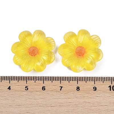 Flower Series Resin Cabochons CRES-Q008-01F-1