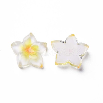 Transparent Epoxy Resin Cabochons X-CRES-S365-23A-1