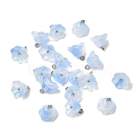 Glass Charms GLAA-G127-03A-1