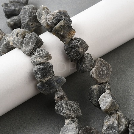 Natural Labradorite Beads Strands G-S386-B04-1