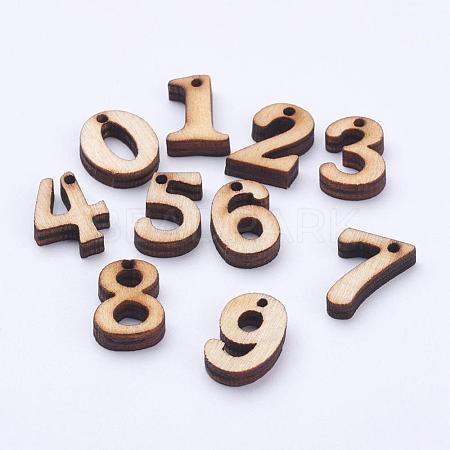 Undyed Wood Charms WOOD-L003-17-1