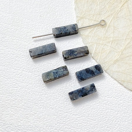 Natural Larvikite Beads G-G137-01M-1