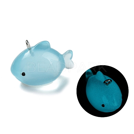 Luminous Resin Pendants RESI-R452-01A-1