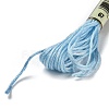 10 Skeins 6-Ply Polyester Embroidery Floss OCOR-K006-A36-2