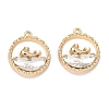 Alloy Glass Pendants FIND-B061-05G-A02-1