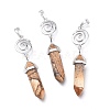 Natural Picture Jasper Pointed Big Pendants G-D0021-01P-02-2