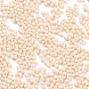 Baking Paint Glass Seed Beads X1-SEED-A033-05A-3