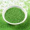 MIYUKI Round Rocailles Beads X-SEED-G009-RR0144-2