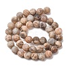 Natural Feldspar Bead Strands G-P295-06-8mm-11