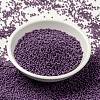 MIYUKI Round Rocailles Beads X-SEED-G009-RR4490-2