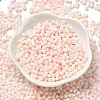 Two Tone Baking Paint Glass Seed Beads SEED-F005-01A-02-2