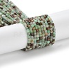 Natural Chrysoprase Beads Strands X-G-P514-B03-01-1