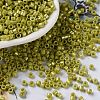 Baking Paint Glass Seed Beads X-SEED-S042-15A-07-1