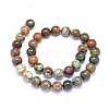 Natural Jasper Gemstone Beads Strands G-O180-15F-2