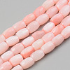 Natural Freshwater Shell Beads Strand X-SHEL-T017-39B-1