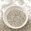 Electroplate Glass Seed Beads SEED-S042-01B-08-2