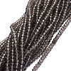 Natural Smoky Quartz Beads Strands G-E569-H06-1