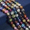 Dyed Natural Cultured Freshwater Pearl Beads Strands X-PEAR-R012-20-5