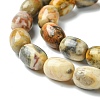 Barrel Shaped Gemstone Natural Crazy Lace Agate Beads Strands G-S114-08-5